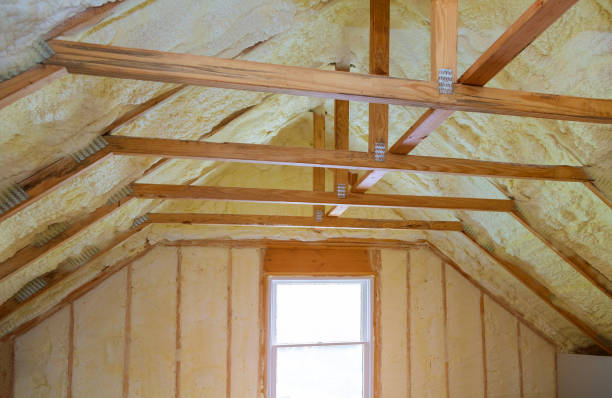 Best Attic Insulation Installation  in Springfield, CO