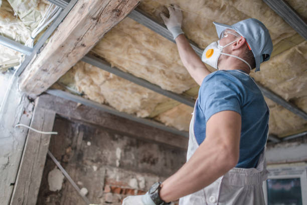 Best Cellulose Insulation  in Springfield, CO