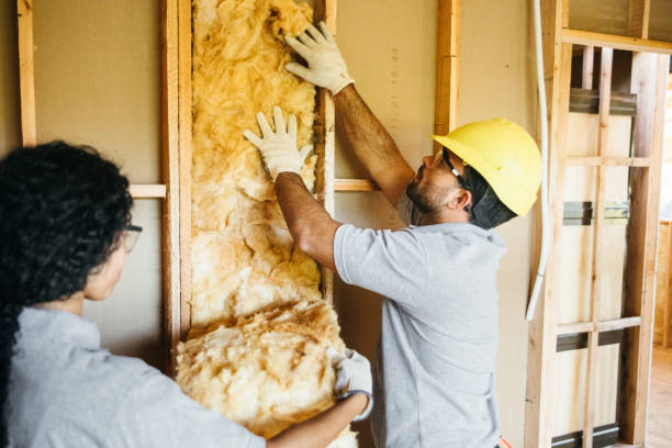 Best Commercial Insulation Contractor  in Springfield, CO