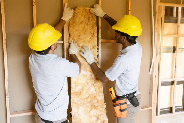 Insulation Replacement Services in Springfield, CO