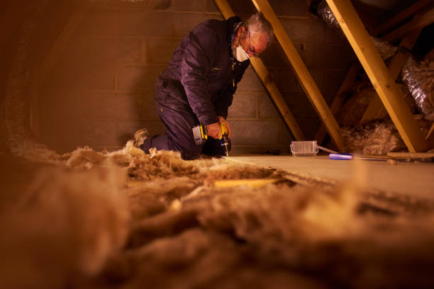 Best Insulation Repair Services  in Springfield, CO